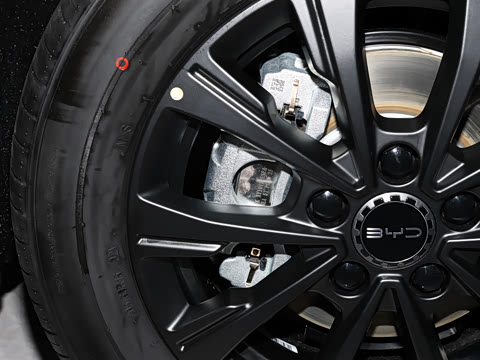 2025�� 520���а�