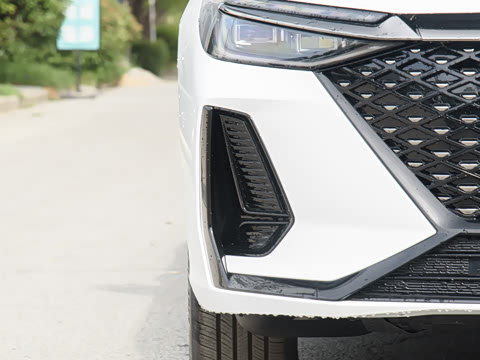 2025�� 70km ��׼��