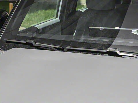 2025�� 501���������