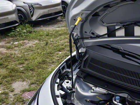 2025�� 330�ǻ԰�