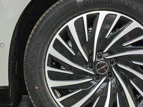 2025�� ���� 265 Max��������������ʻ