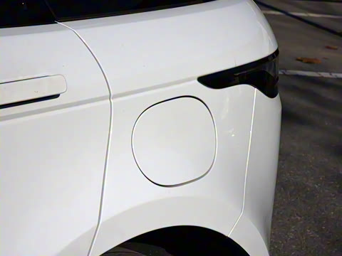 2021�� ����L P300e ������