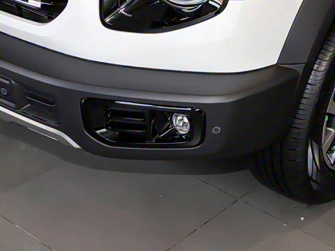 2021�� 2.0T DCT�����л���԰Ȯ��