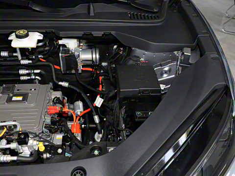 2025�� 520�ǻݰ�