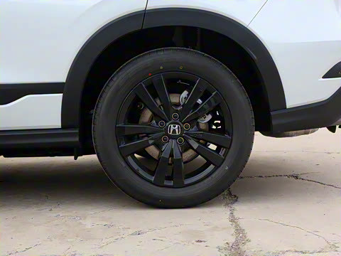 2023�� 2.0L e:HEV �����