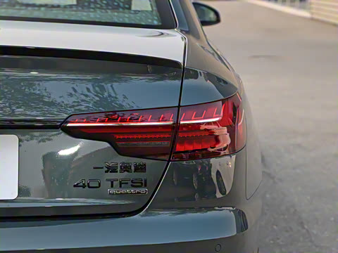 2024�� 40 TFSI quattro RS�׼�ȼ����