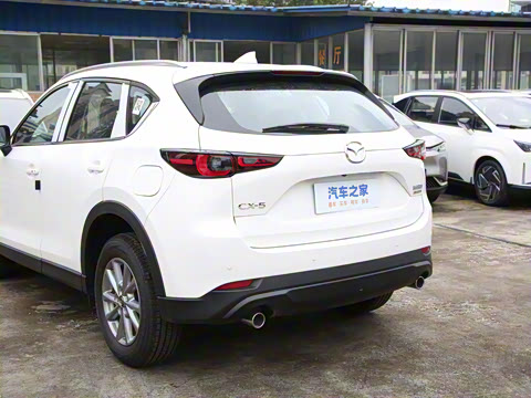 2024�� 2.0L �Զ���������Pro