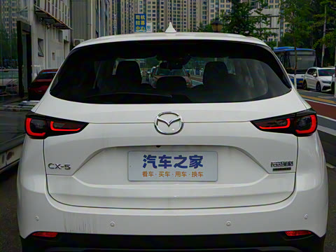 2025�� 2.0L �Զ���������Pro