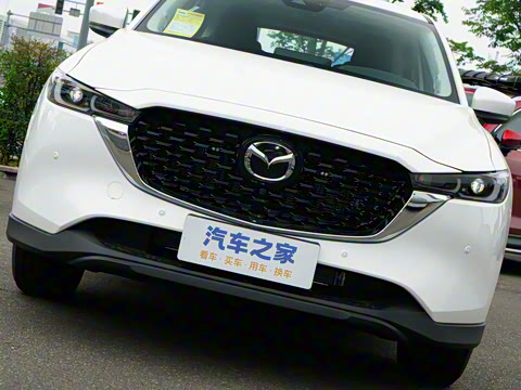 2025�� 2.0L �Զ���������Pro