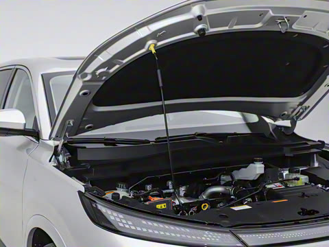 2025�� 185KM�����