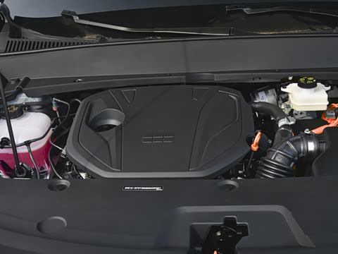 2025�� 55km ̽����