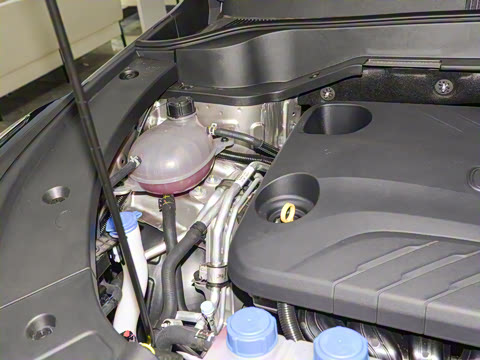 2025�� �ǻ������� 125km ������