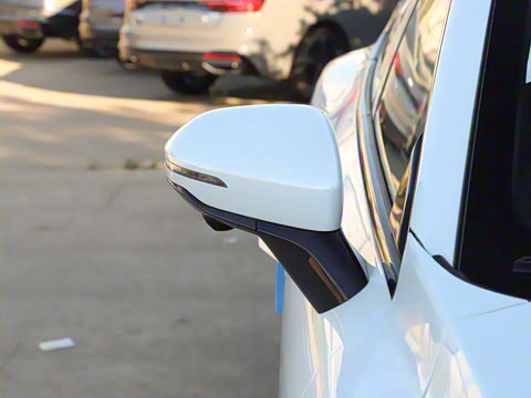 2025�� ���� 550������