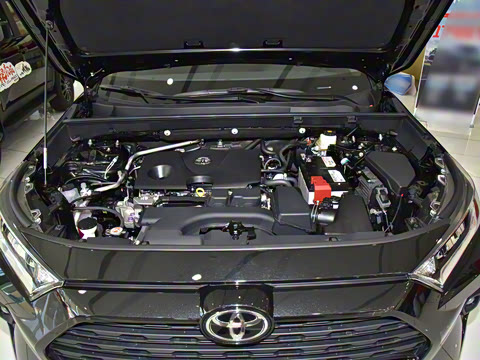 2025�� 2.0L CVT����̽Ұ��