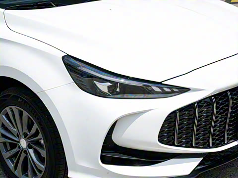 2026�� 180DVVT ȫ�����Ȱ�