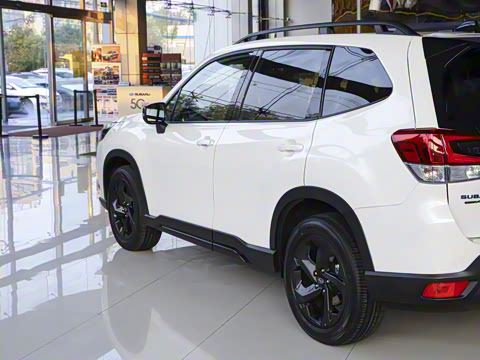 2024�� STI Sport