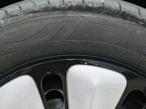 2025�� 333km ������