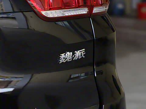 2019�� ������ 2.0T �����콢�� ��VI