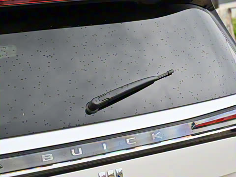 2025�� ½�� ������ 7��