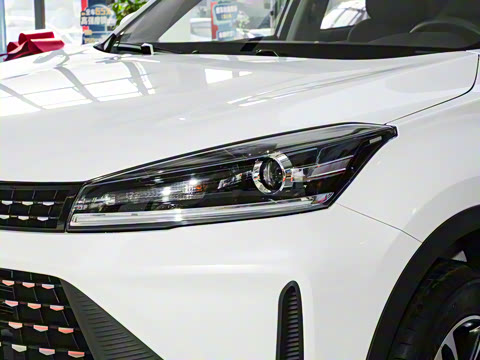 2025�� 1.5L �ֶ����ʰ�