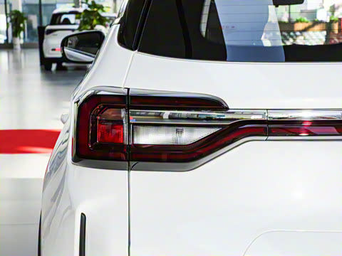 2025�� 1.5L �ֶ����ʰ�