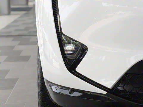 2025�� Max �����