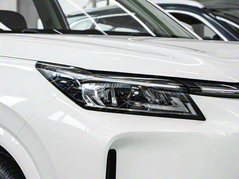 2026�� 165km ������������Max 7��