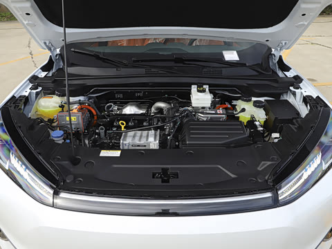 2025�� 205��������������