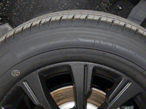 2025�� 520�ǻݰ�