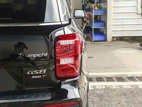 2020�� 390T �������棨������