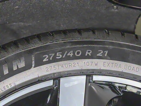 2025�� ������������������Max��