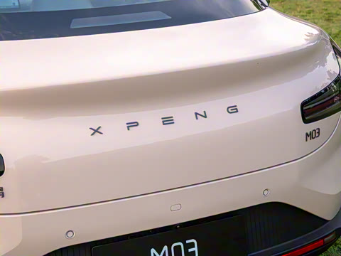 2025�� 502 ������ Max