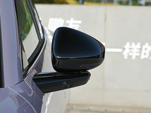 2025�� 600 �������� Max