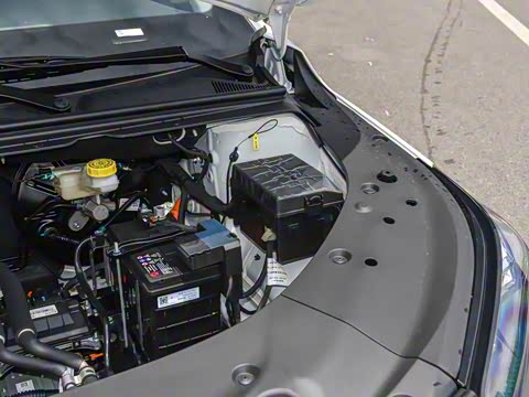 2026�� ������