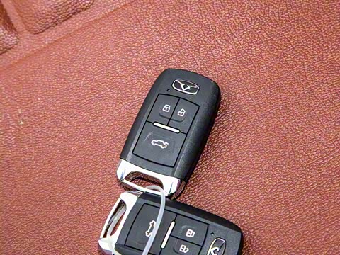 2020�� 1.5L �ֶ���