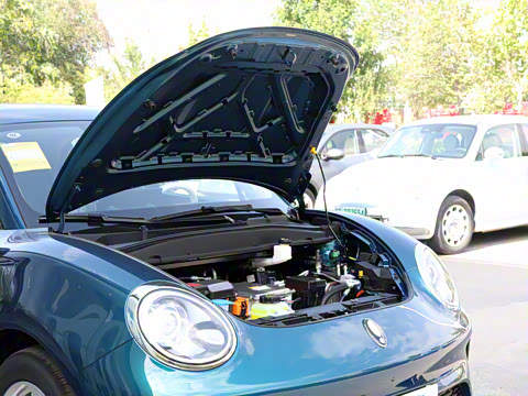 2025�� 430km ������