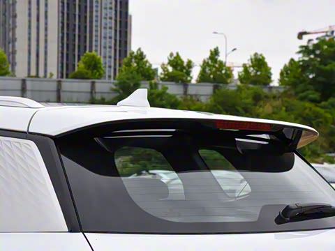 2023�� �ھ��� DM-i 110KM��Խ��