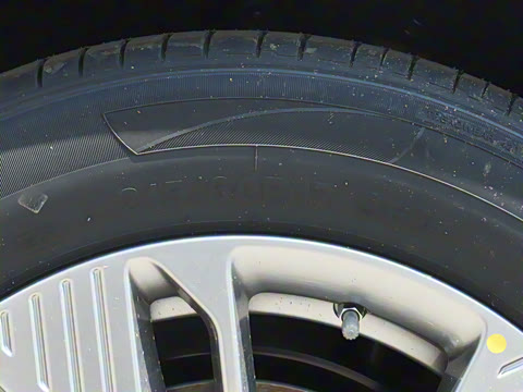 2025�� 445km ��ѡ��