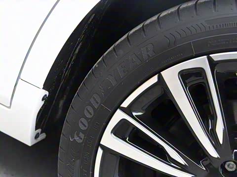 2019�� ��Max 630