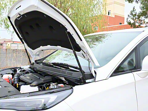 2025�� ½�� ������ 7��