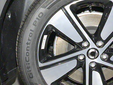 2026�� �鶯������