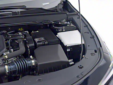 2025�� ������ 2.0T ������