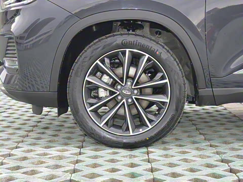 2022�� 290TGDI DCTͷ�Ȳ�