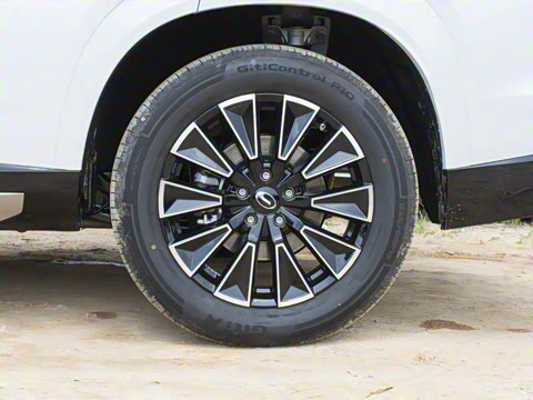 2025�� 115km Pro��