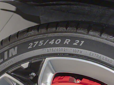 2025�� ������������������Max��