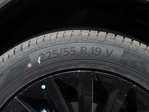 2023�� 300T ������ҫ��