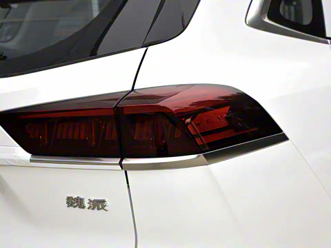 2022�� 1.5T DHT����