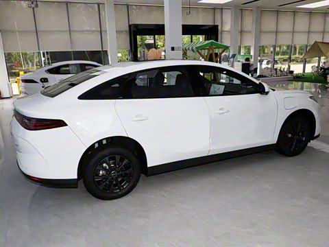 2025�� 520���а�