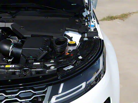 2022�� ����L P300e ���ʽ�綯��ϰ�