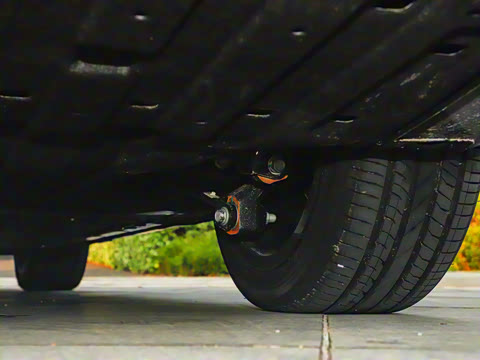 2025�� 650������